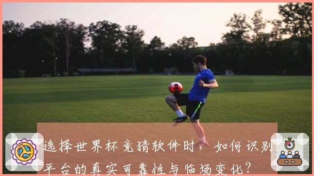 选择世界杯竞猜软件时，如何识别平台的真实可靠性与临场变化？