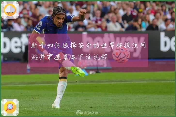 新手如何选择安全的世界杯投注网站并掌握基本下注流程