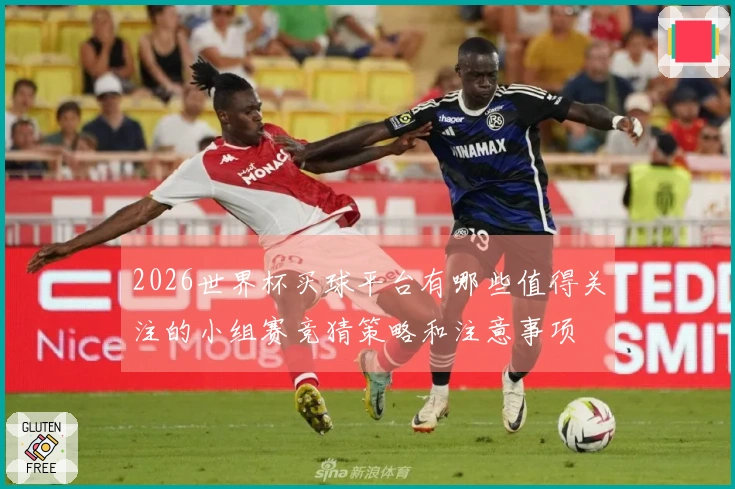 2026世界杯买球平台有哪些值得关注的小组赛竞猜策略和注意事项
