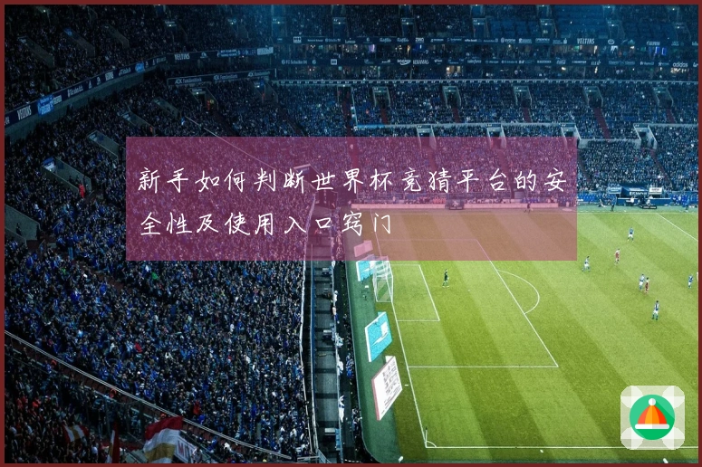 新手如何判断世界杯竞猜平台的安全性及使用入口窍门
